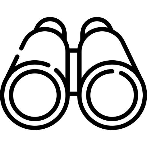 Binoculars icon representing Perpetual Group's vision
